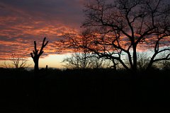 photo 0021